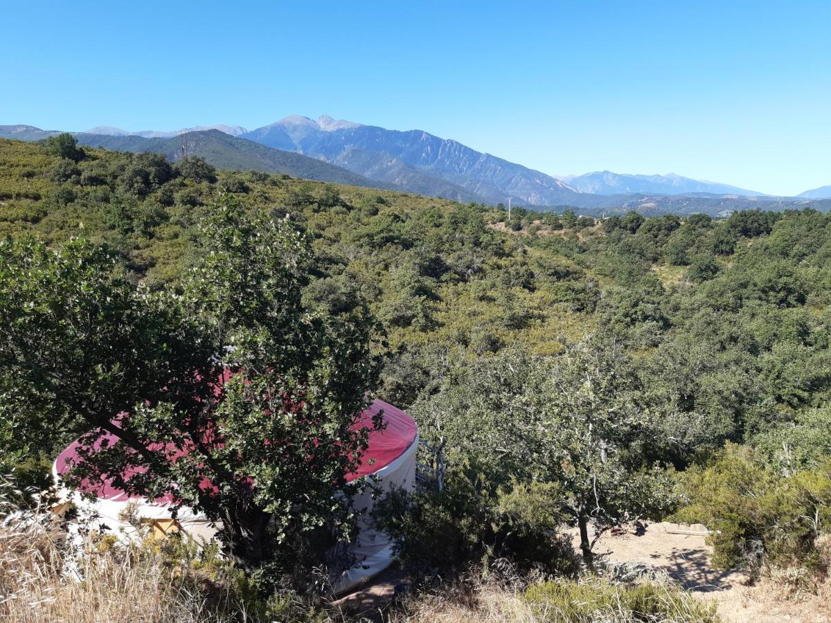 Yourte Contemporaine Avec Magnifique Vue Sur Les Montagnes Rigarda Dış mekan fotoğraf